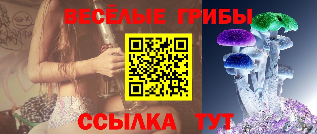 Вятские Поляны  Галлюциногенные грибы Cubensis  Вход с VPN 