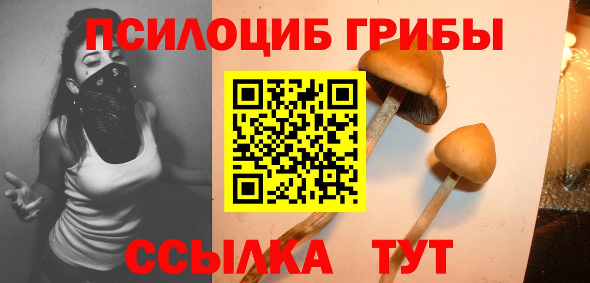 Галлюциногенные грибы ЛСД Вятские Поляны